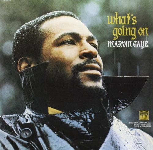 Marvin Gaye - What's Going On (vinyl)