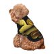 thumbnail image 5 of Balery Yellow White-Lipped Pit Viper Sudadera con Capucha para Perros Pequeños – Ropa para Mascotas, Disfraz para Perros y Gatos, Ideal para Fiestas y Cosplay-Small, 5 of 7