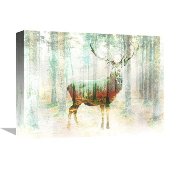 Global Gallery's 'Lord of the Woods' by Arlo Wren Photos Stretched Canvas Wall Art