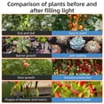 thumbnail image 3 of Tignapoo 40W Full Spectrum LED Grow Light with 156 LEDs, 122° Beam Angle, 3262lm Output, AC100V-277V for Indoor/Outdoor Plant Cultivation, White, US/EU Plug Options, 3 of 6