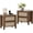 Walnut(2 Drawers), variant on Brafabhome Rattan Nightstands with 2 Drawers, Modern Bedside Table with Large Storage for Bedroom, Accent Sofa End Tables for Living Room, Set of 2 | Nature