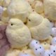 thumbnail image 5 of Juguetes de piscina, juguetes para bebés, juguetes para niños pequeños, pollito suave, pollito lindo, juguete antiestrés, juguete sensorial para adultos, 2 piezas de pollo suave, 5 of 9