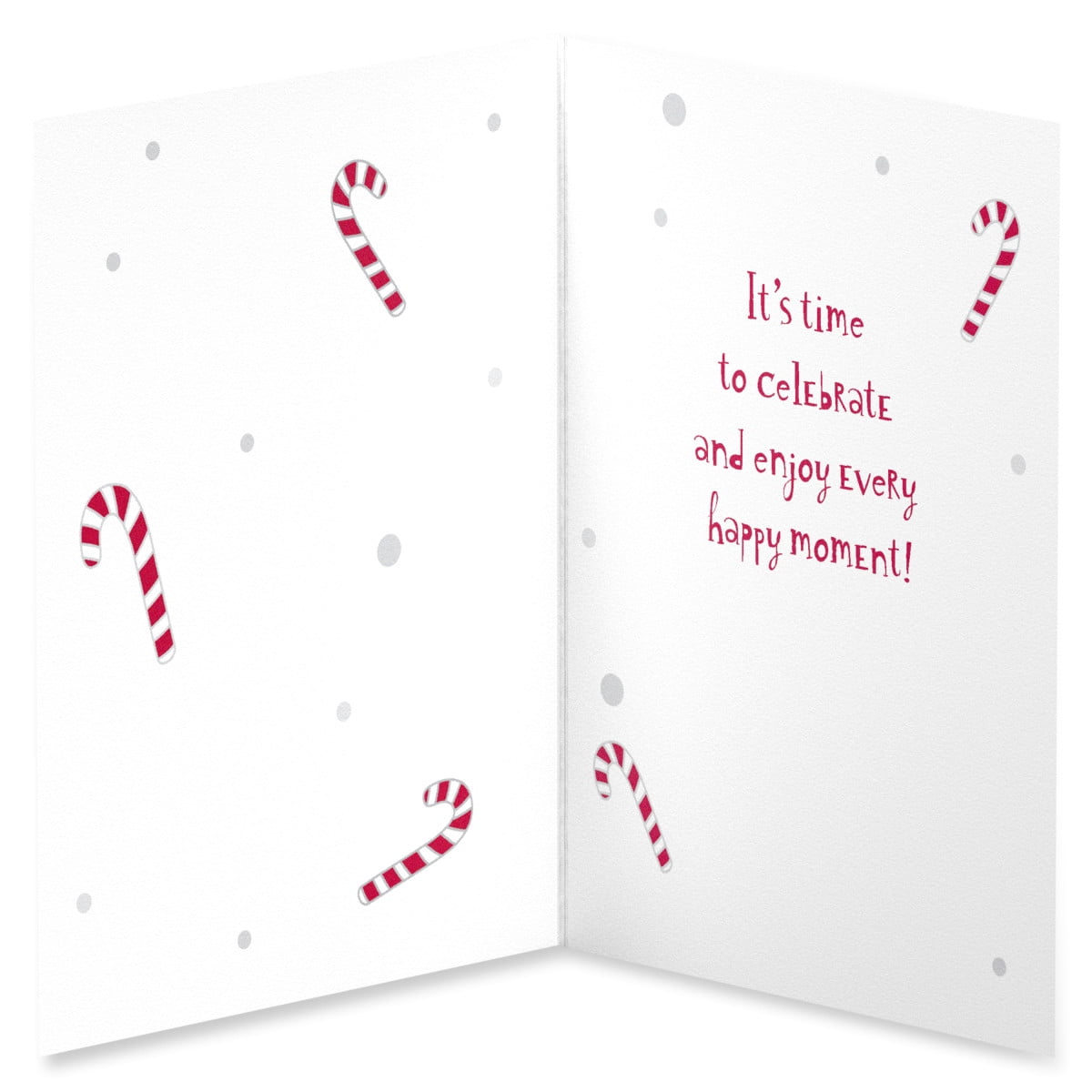 American Greetings Christmas Card Bundle for Anyone, Celebrate & Enjoy (10-Count)