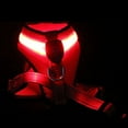 thumbnail image 6 of Zhaomeidaxi Light Up Dog Harness - USB Rechargeable Reflective Dog Vest No Pull Led Dog Harness with Wear Resistant Mesh Fabric Suit for Small Medium Dogs, 6 of 8