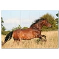 thumbnail image 1 of Horse Ceramic Tile Mural Kitchen Backsplash Bathroom Shower, 402842-XL64, 1 of 3