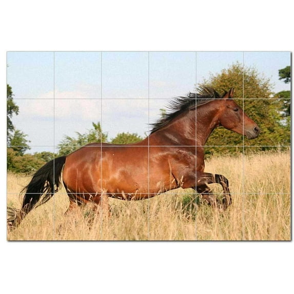 Horse Ceramic Tile Mural Kitchen Backsplash Bathroom Shower, 402842-XL64