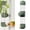 Green, variant on Scheam White No Mess Bird Water Dispenser,Automatic Water Feeder for Cage,Clear Plastic Parrot Water Drinker with Spring Valve,for Budgie Finch Lovebirds Canary Cockatiel (7.4 fl oz)
