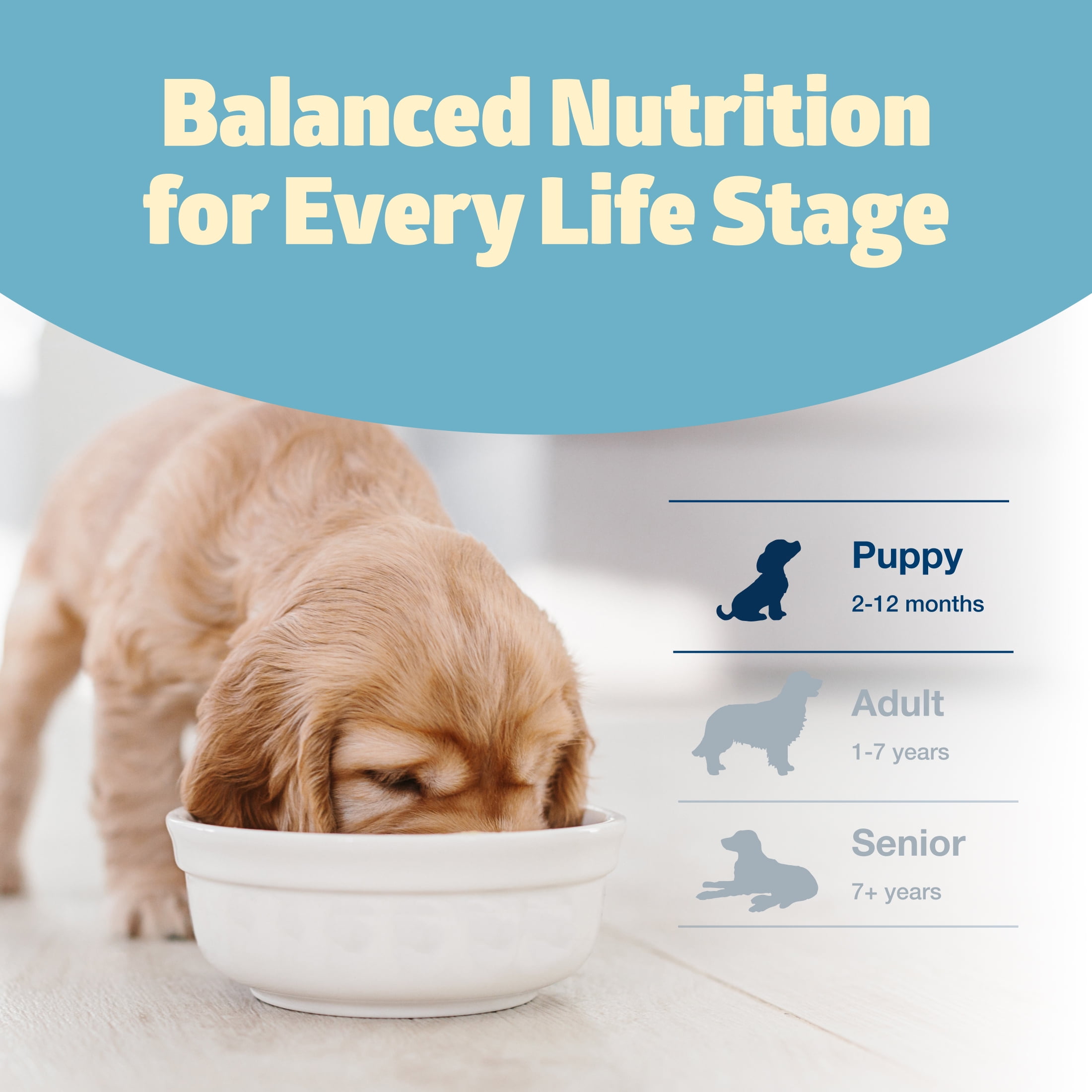Blue Buffalo Freedom Grain-Free Puppy Dry Dog Food with DHA, Chicken & Potatoes, 24-lb. Bag