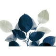thumbnail image 2 of Allen, Kimberly 18x13 White Modern Wood Framed Museum Art Print Titled - Midnight Leaves 1a, 2 of 4