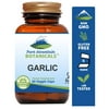 Garlic Pills - 90 Kosher Vegan Capsules with 500mg Organic Garlic Allium Sativum Supplement