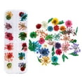 thumbnail image 1 of 12 Colors Nail Dried Flowers, 3d Nail Art Sticker for Tips Manicure Decor Mixed Accessories, Starry Leaves Flower,2#, 1 of 5