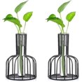thumbnail image 1 of 2 Pieces Mini Vases Set Glass Vase S Vases For Table Rat Flower Vase Bud Hydroponic Glass Vase, 1 of 2