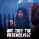 thumbnail image 3 of One Night Ultimate Werewolf Board Game by Bezier Games, 3 of 6