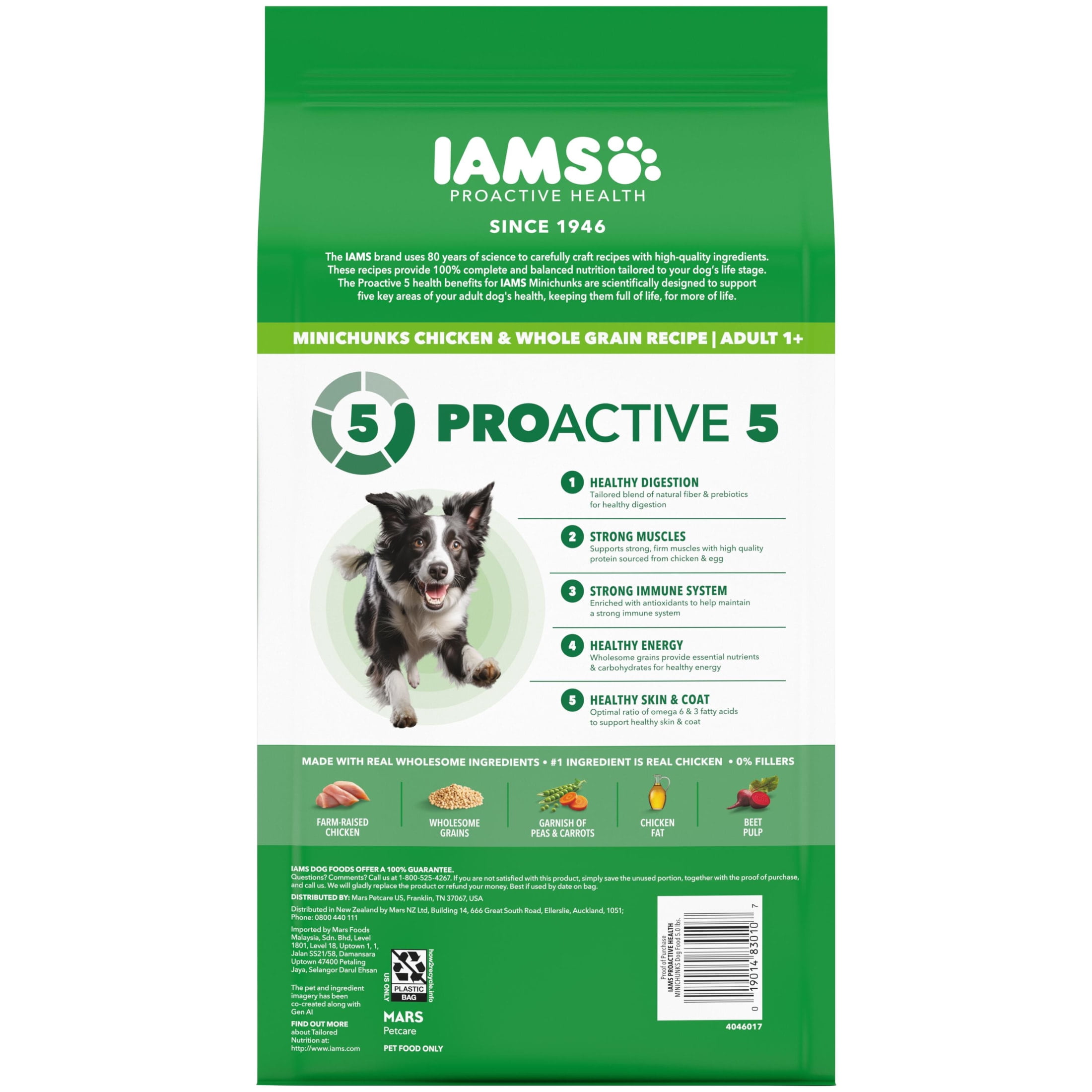 IAMS Proactive Health Adult Mini Chunks Chicken & Whole Grain Recipe Dry Dog Food, 5 lb Bag