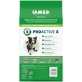 thumbnail image 2 of IAMS Proactive Health Adult Mini Chunks Chicken & Whole Grain Recipe Dry Dog Food, 5 lb Bag, 2 of 11