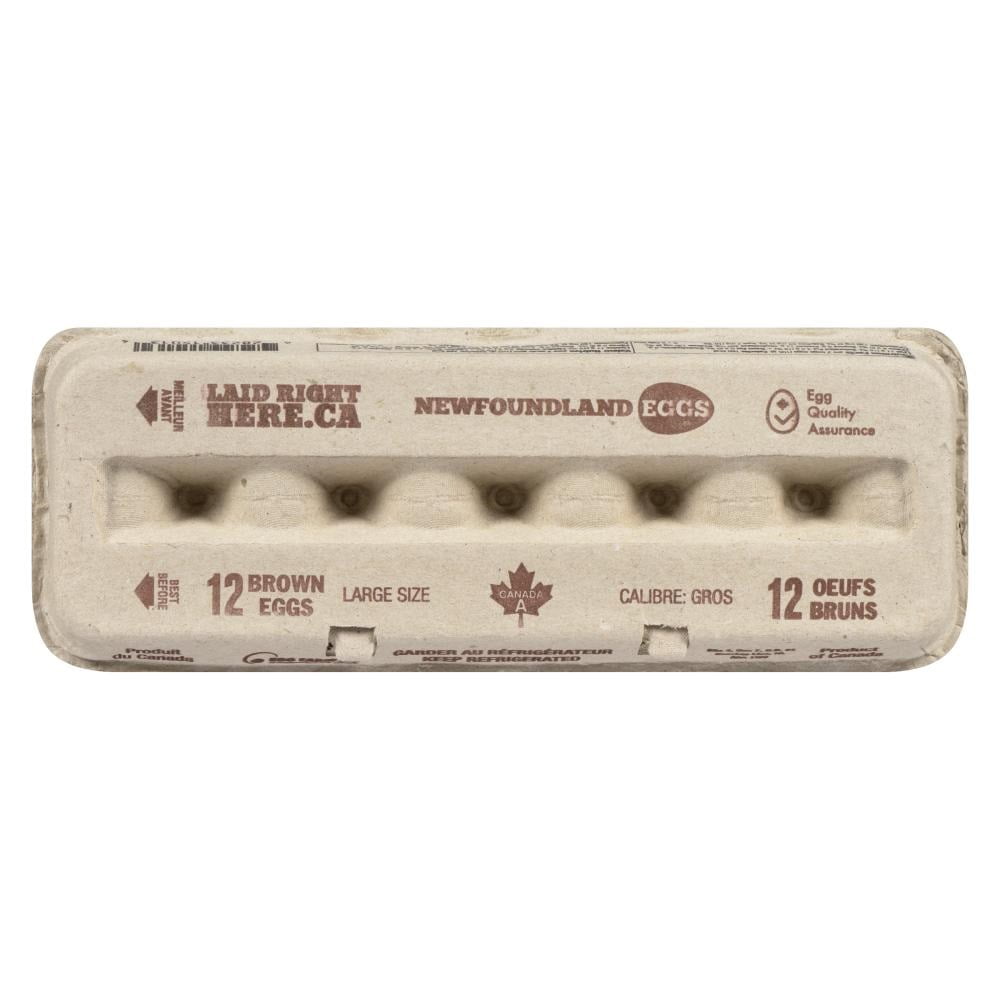 NL Eggs gros oeufs bruns 12 12 gros oeufs