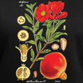 thumbnail image 3 of CafePress - Vintage Pomegranate Women's V Neck Dark T Shirt - Women's V-Neck Dark T-Shirt, 3 of 4