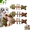 3Pcs, variant on Catnip & Silvervine Chew, 2026 Fish Bone Cat Dental Toy, Natural Teeth Cleaning Stick, Durable Wooden Feline Tooth Care Tool for Cats
