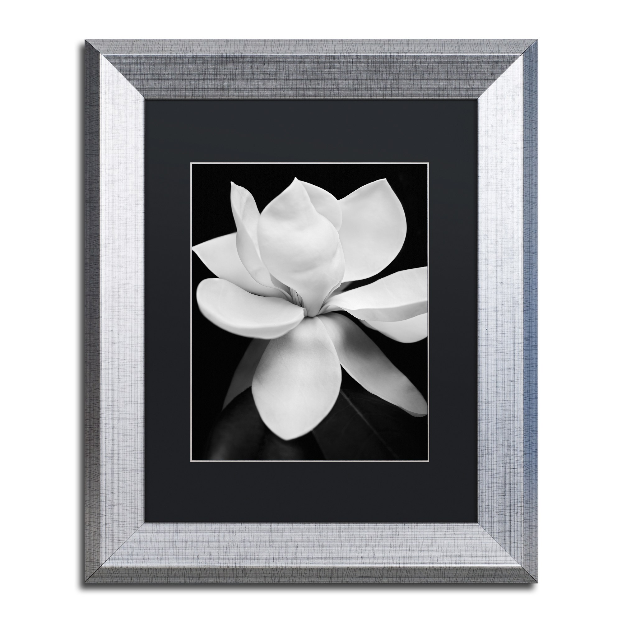 Michael Harrison 'Magnolia' Black Matted Framed Art