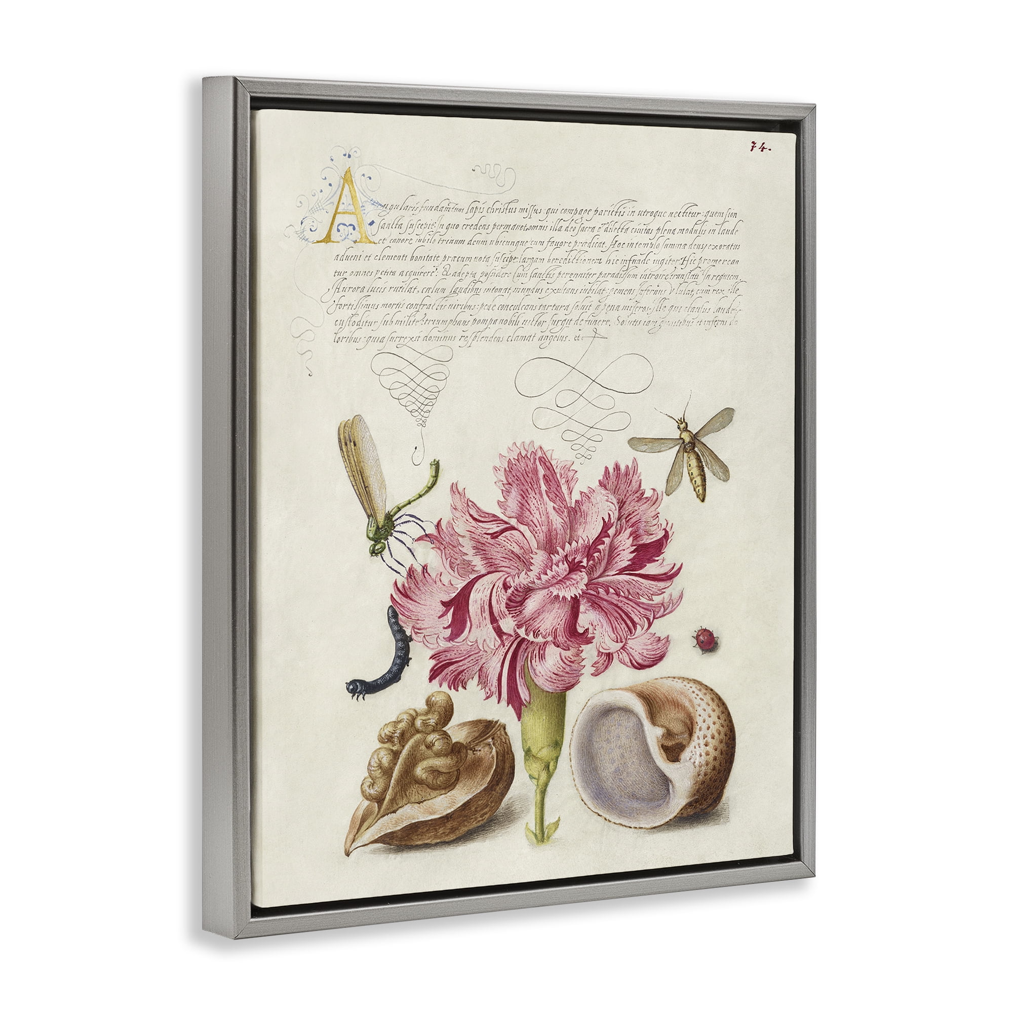 Stupell Industries Antique Flower & Snails Text & Numbers Painting Gray Floater Framed Canvas Art Print Wall Art, 17 x 21