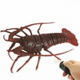 thumbnail image 1 of MesaSe RC Spider&Bee Electric Remote Control Simulated Insect Cockroach Car Scary Prank Toys For Party Props Kids Gift, 1 of 13