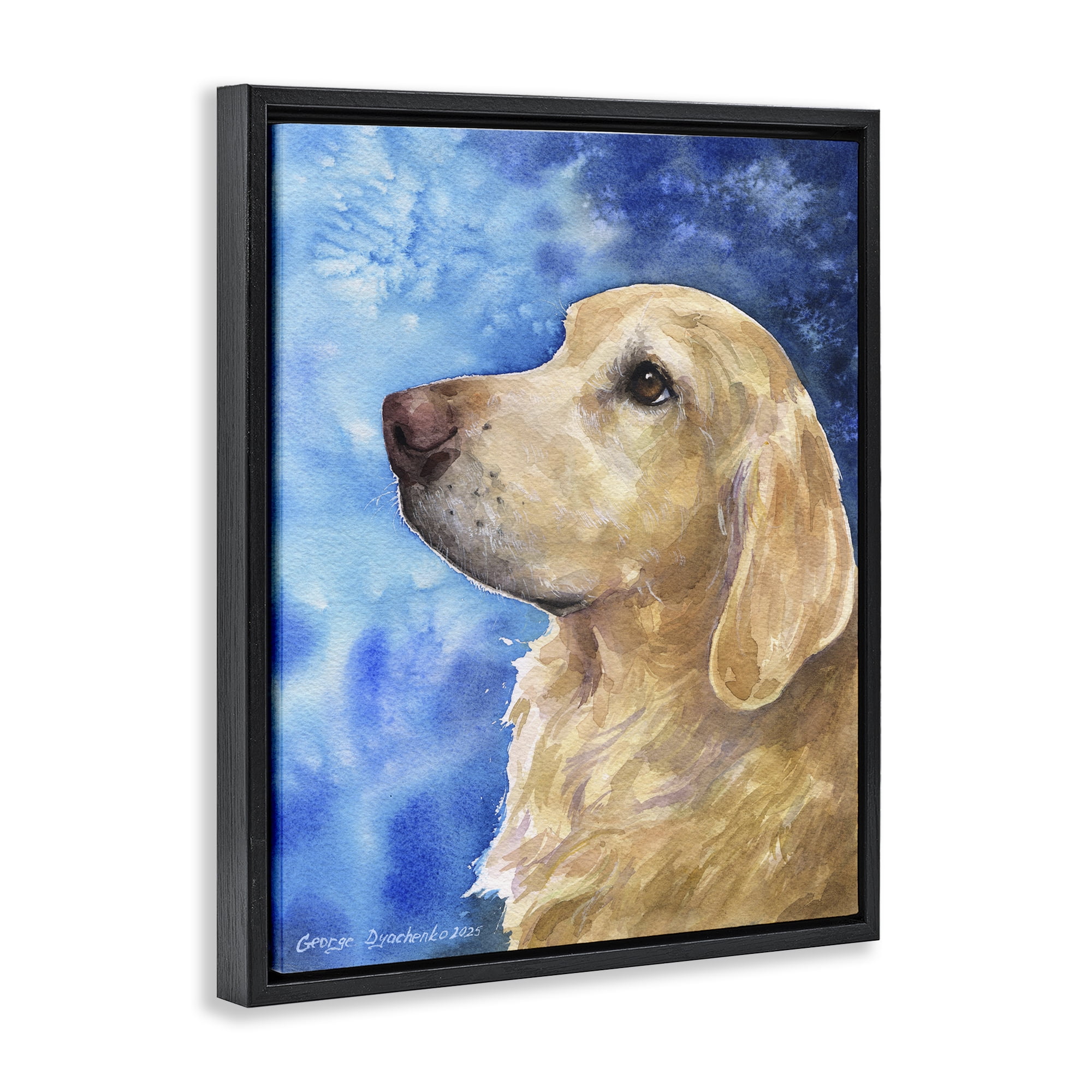Stupell Industries Golden Retriever Portrait on Azure Black Framed Floater Canvas Wall Art, design by George Dyachenko
