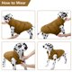 thumbnail image 5 of Chaqueta de invierno para perros a prueba de viento, abrigo, chaleco cálido para perros, ropa para mascotas para clima frío con forro polar para perros pequeños, medianos y grandes, 5 of 5