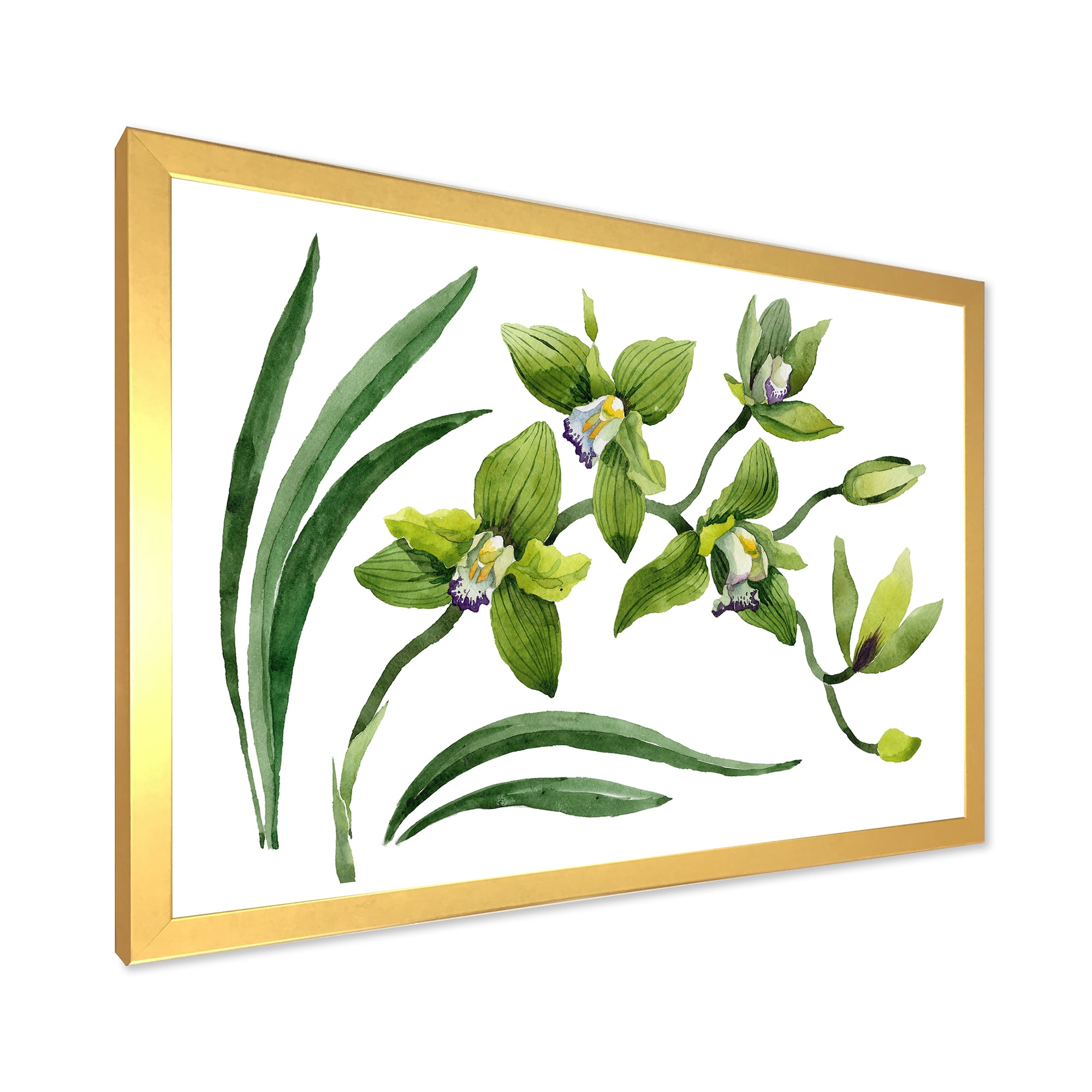 Designart 'Green Orchid Flowers On White' Traditional Framed Art Print