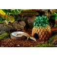thumbnail image 2 of Exo Terra Coconut Water Dish, 2 of 2