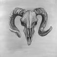 thumbnail image 2 of Atelier B Art Studio 12x12 Black Ornate Wood Framed with Double Matting Museum Art Print Titled - Grayscale Aries Skull, 2 of 4