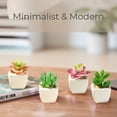 thumbnail image 4 of Mini potted plants plastic succulents home office decoration, 4 of 5