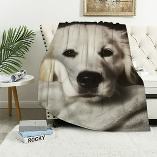 Golden retriever blanket walmart sale