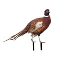 thumbnail image 3 of Figuras de faisán para decoración de suelo, manualidades, adornos con estacas de animales fáciles de usar A, 3 of 9