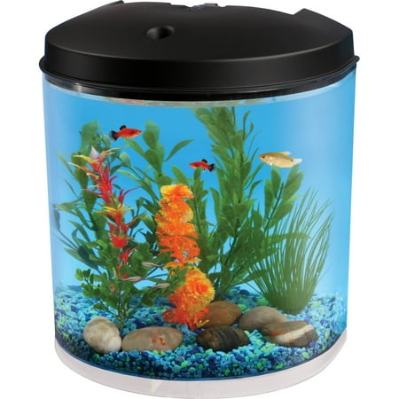Hawkeye 3.5-Gallon Aquarium Starter Kit