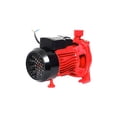 thumbnail image 2 of Bomba Centrífuga Igoto Para Agua Duo 3/4 Hp 127 V CPM146 D, 2 of 5