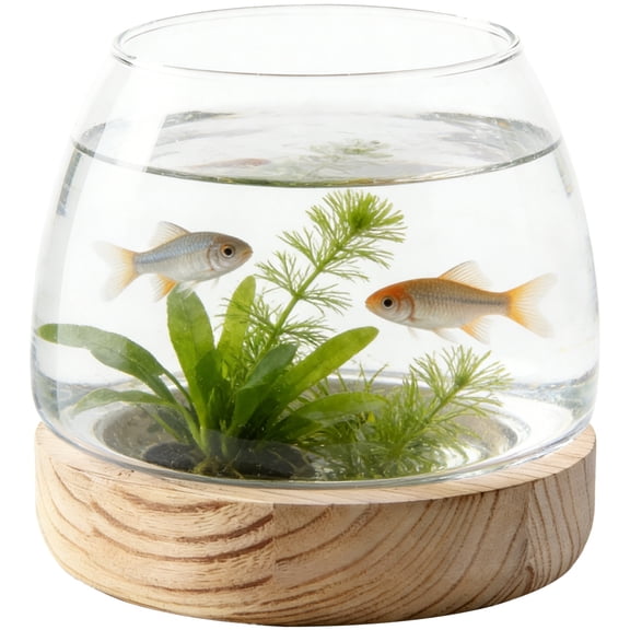 Glass Fish Bowl with Wooden Base, Terrarium Vase, Clear Glass Plant Terrarium Container for Moss Sand Succulent Display, Decorative Small Vase Jar for Table Centerpiece