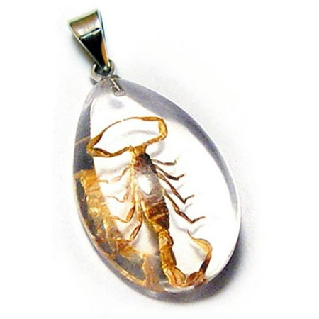 Ed Speldy East SD1104 Real Bug Necklace-Scorpion