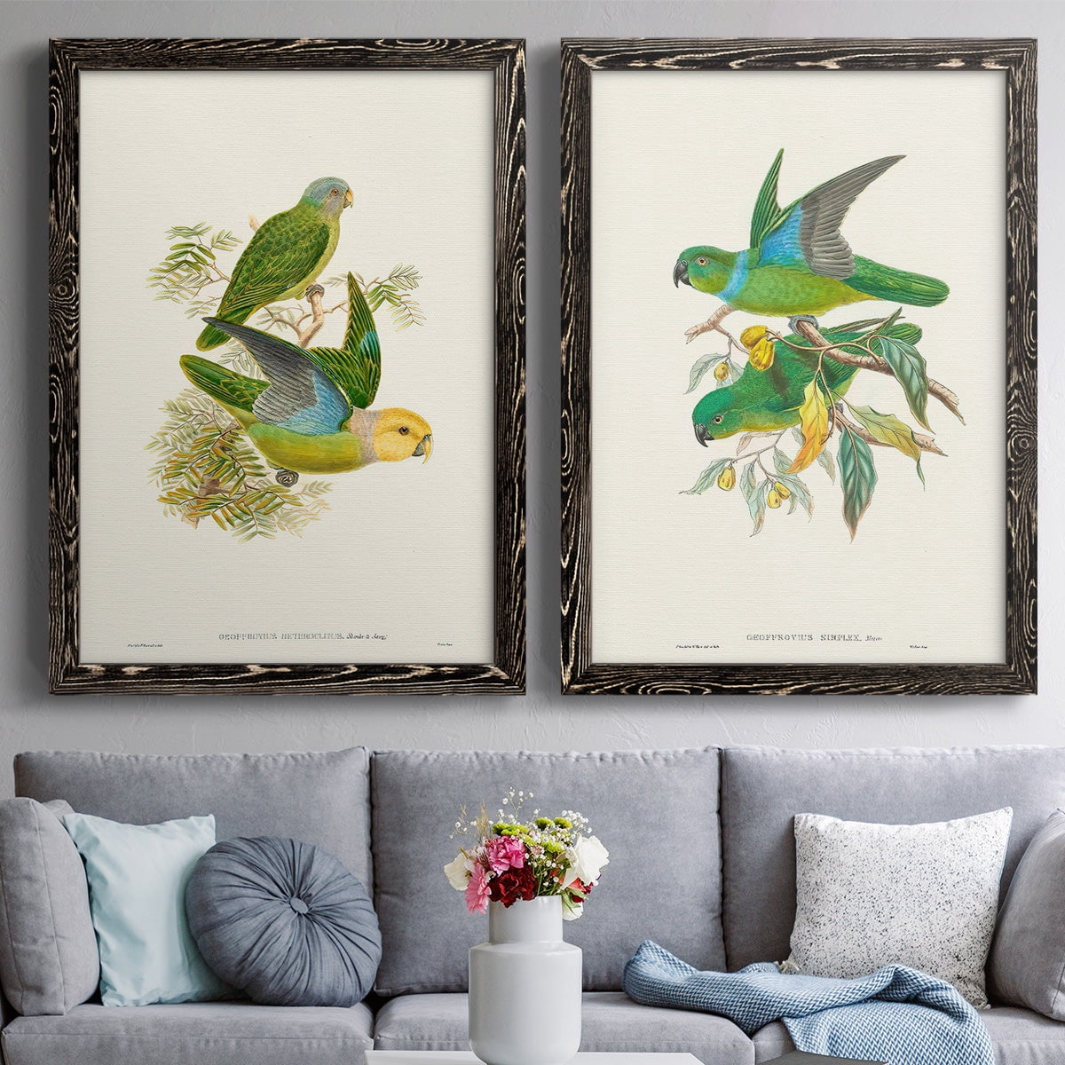 Lime & Cerulean Parrots I - Premium Framed Canvas 2 Piece Set - Ready to Hang