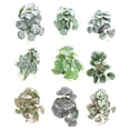 thumbnail image 2 of mmirethe Plastic Tropical Terrarium Plants - Freshness And Elegance For Home Plants Artificial Decorations Lyre Leaf 1Set, 2 of 6