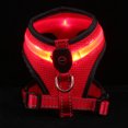 thumbnail image 2 of 1 Set Dog Accessory Red Nylon for Night Walking and Pet Dog Supply, 2 of 8