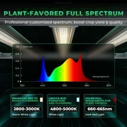 Mars Hydro FC-E3000 Complete Grow Tent Kits | 300W LED Grow Light+100x100x180cm Indoor Tent+4″ Ventilation System | 6“ Clip-on fan | for 2-4 Plants
