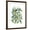Brown Frame, variant on Art.com Skip Hop II Premium Giclee Print by Chariklia Zarris, 12" x 16"