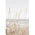 thumbnail image 2 of Artographie Studio 11x14 White Modern Wood Framed Museum Art Print Titled - Beach Vass 001, 2 of 4