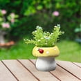 thumbnail image 2 of Creative Planter Table Garden Planter Outdoor Ceramic Planter, 2 of 6