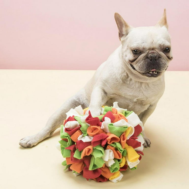 Snuffle Mats & Canine Enrichment Toys