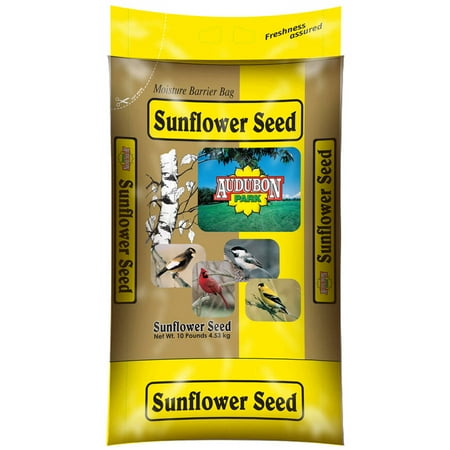 audubon 12263 10 lb sunflower seed wild bird food audubon 12263 10 lb sunflower seed wild bird food