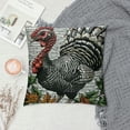 thumbnail image 2 of Chilfamy Throw Pillow Cover Eastern Wild Turkey Square Throw Pillow Cases，Wild Thanksgiving Bird Farm Agriculture Chicken Feather Poultry Rooster  Throw Cushion Covers for Couch Sofa White, 2 of 5