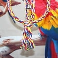 thumbnail image 4 of 1 juguete para loro y pájaro., 4 of 5
