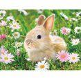 thumbnail image 1 of 5D diamante pintura DIY conejo completo redondo taladro mosaico arte FLhrweasw Nuevo, 1 of 1