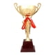 thumbnail image 1 of Trofeos De Premios Premios Trofeos Pequeños Para Niños Para Celebraciones De Fiestas Accesorios Para Eventos 38.5cm Sunnimix Trofeo de premio, 1 of 8